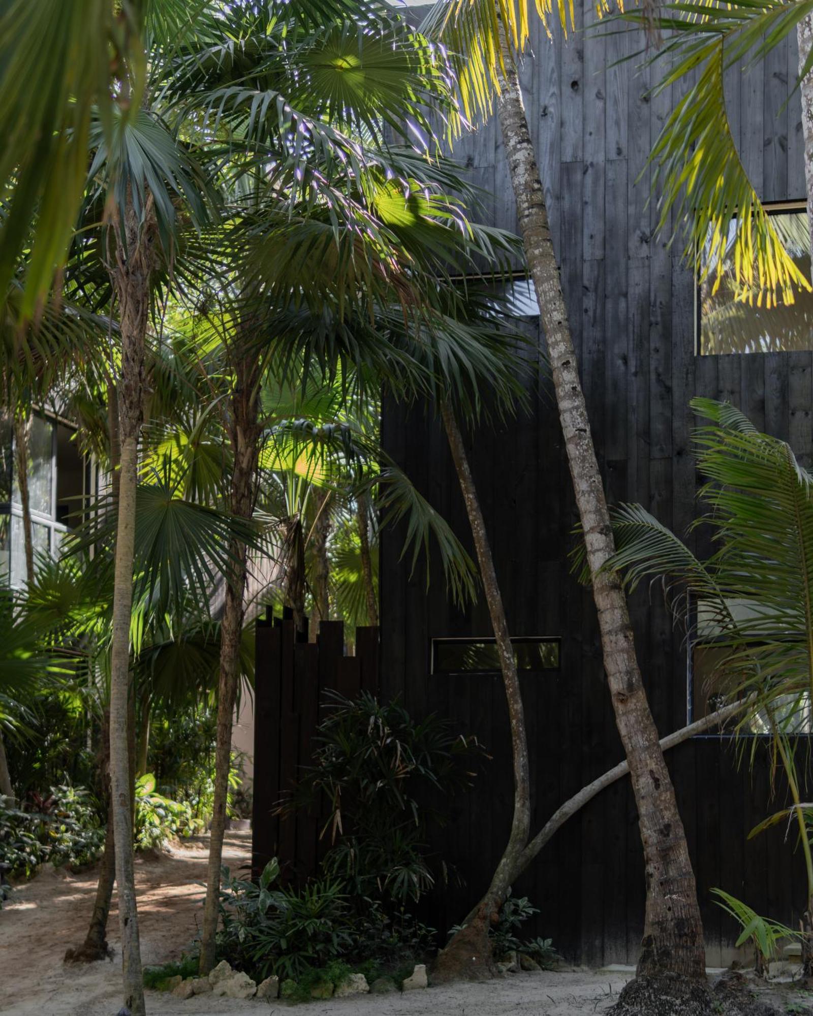 Umi Tulum Exterior foto